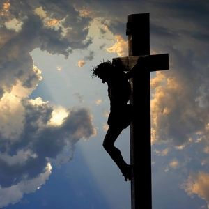 Meet your Posher, Jeannie connelley